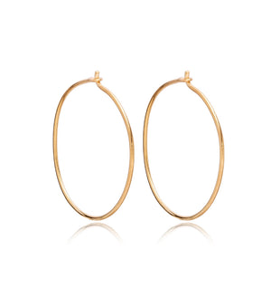 
            
                Load image into Gallery viewer, Gold Charm Hoops Earrings
            
        